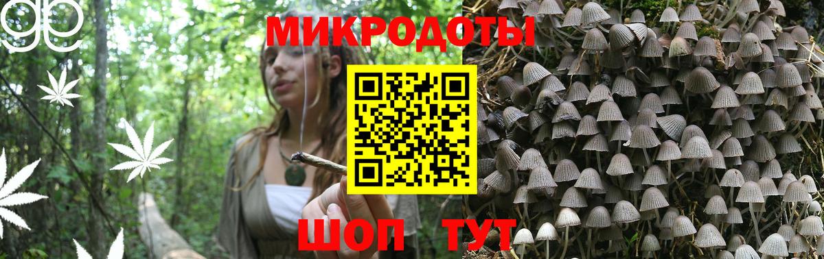 Горно-Алтайск  Псилоцибиновые грибы Cubensis  наркота  Вход с VPN 
