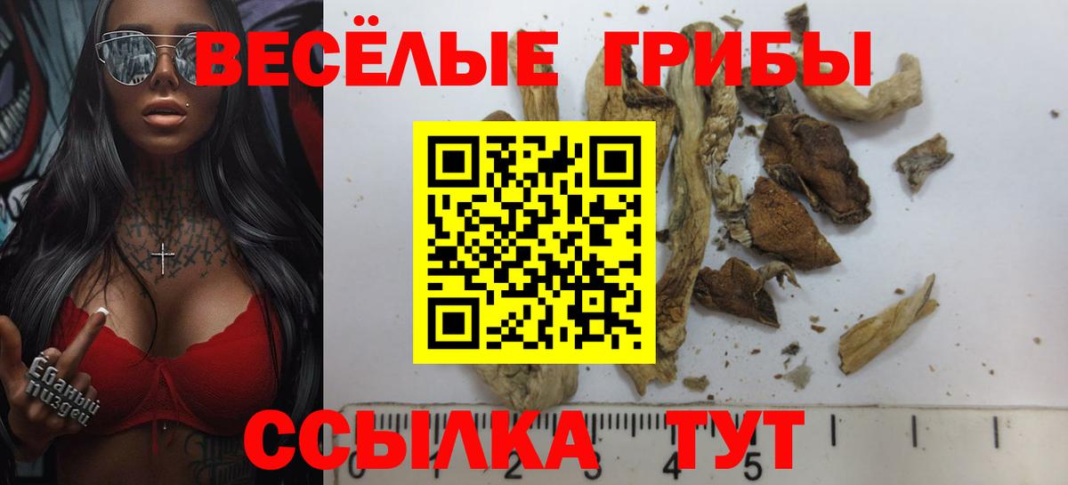 Псилоцибиновые грибы прущие грибы Горно-Алтайск